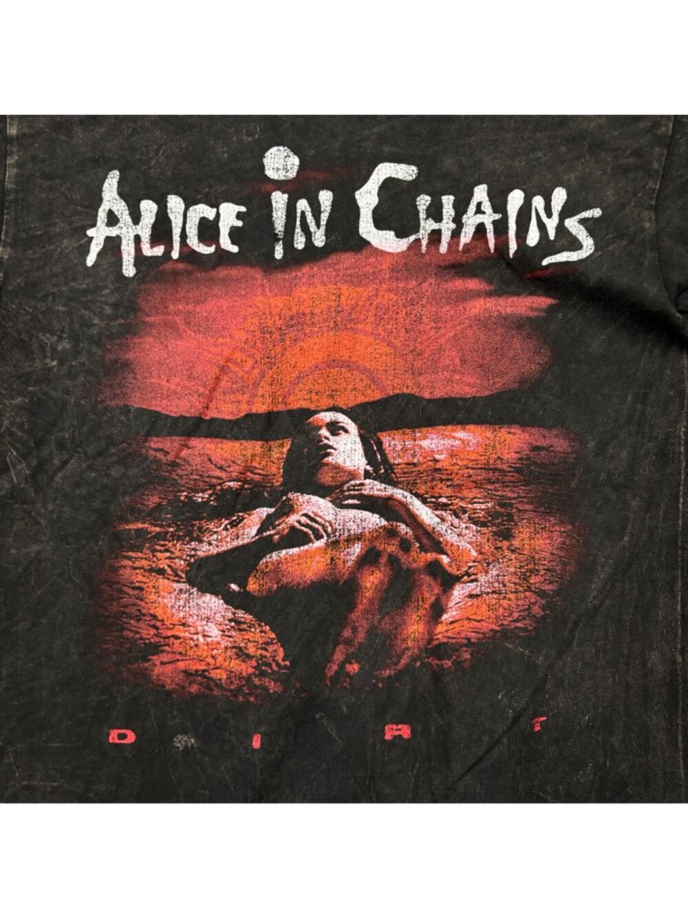 Alice In Chains Dirt Est 1987 Heavy Metal Band Mineral Wash T-Shirt Size Medium - Picture 2 of 4